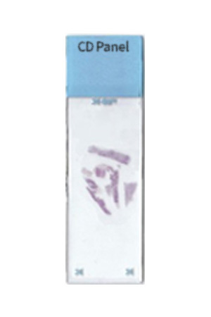 CD Panel Multi-Tumor Control Slides