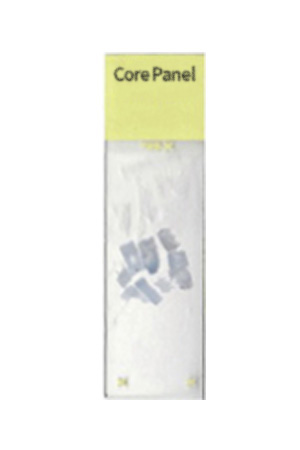 Core Panel Multi-Tumor Control Slides