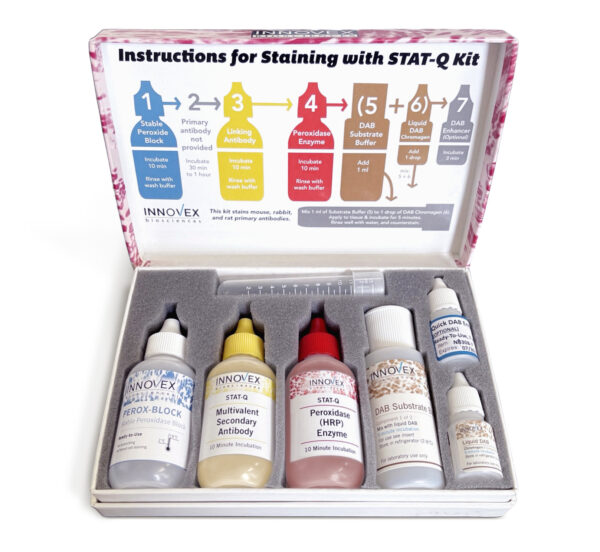 STAT-Q Multivalent DAB Kit stains Mouse, Rabbit & Rat primary antibodies